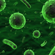 Illustration for article titled What Your Stomach Bacteria Says About You